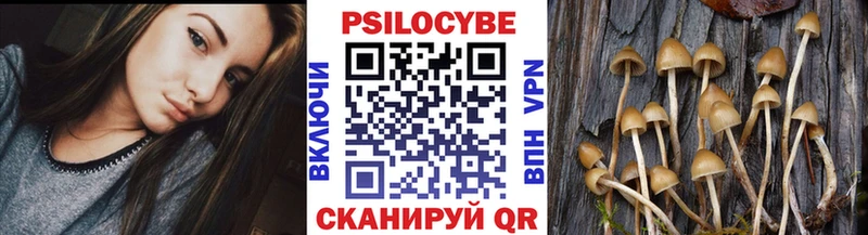 Галлюциногенные грибы ЛСД  Каргат 